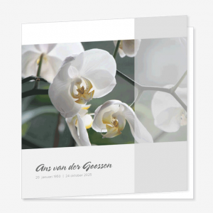 Rouwkaart Witte Orchidee