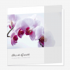 Rouwkaart Orchidee roze